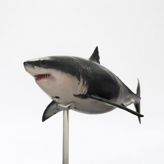 Deep Blue · Great White Shark