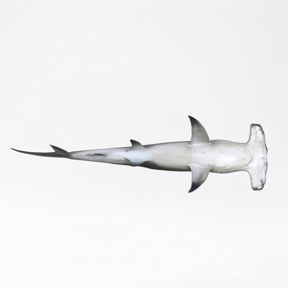 Artemis · Great Hammerhead