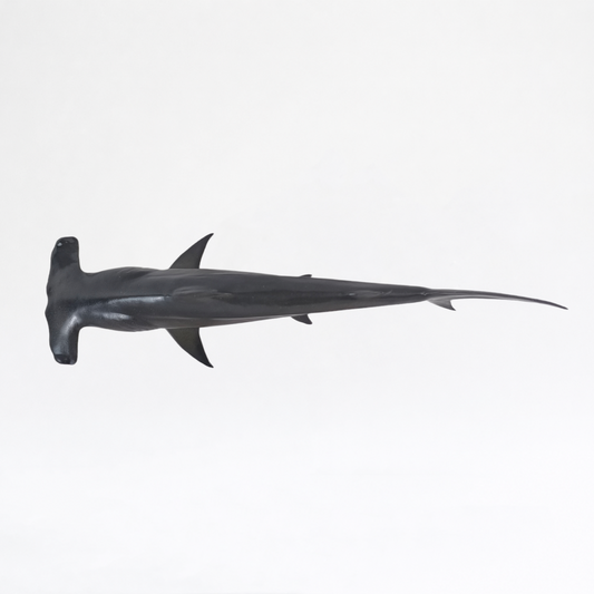 Artemis · Great Hammerhead