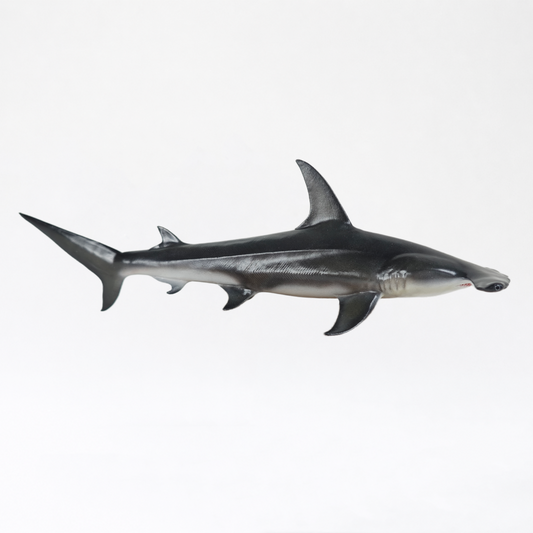 Artemis · Great Hammerhead