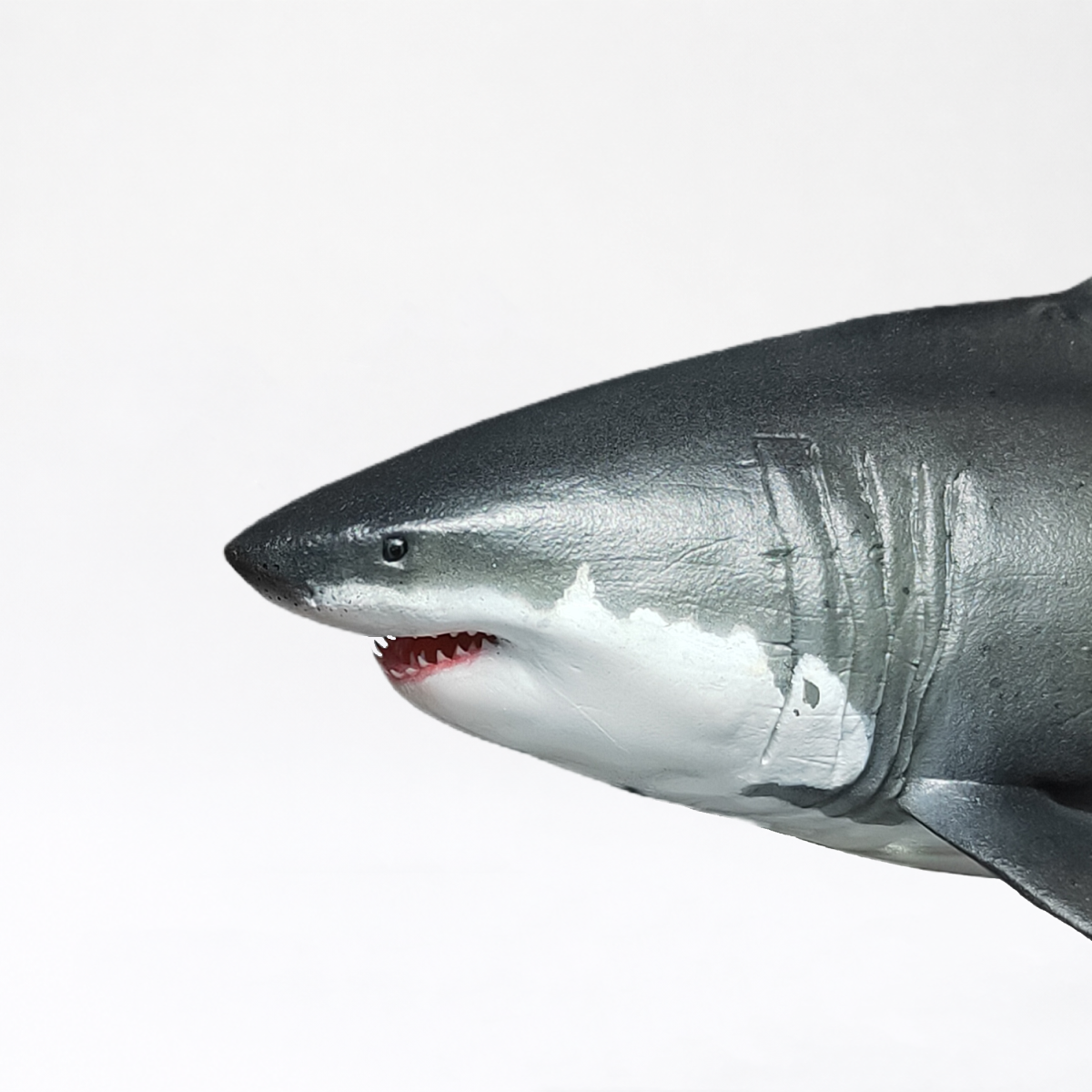 Deep Blue · Great White Shark