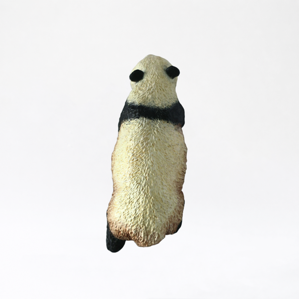 Qinling · Panda