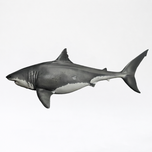 Deep Blue · Great White Shark