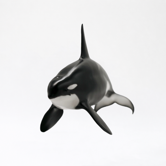 Karel · Orca