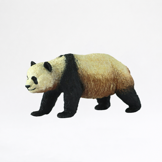 Qinling · Panda