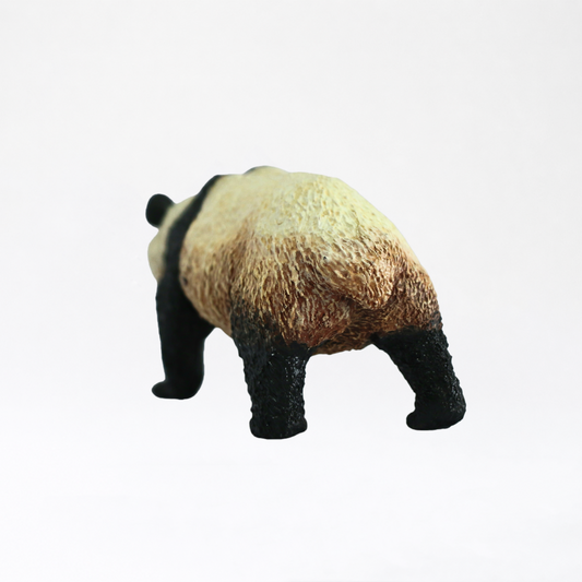 Qinling · Panda