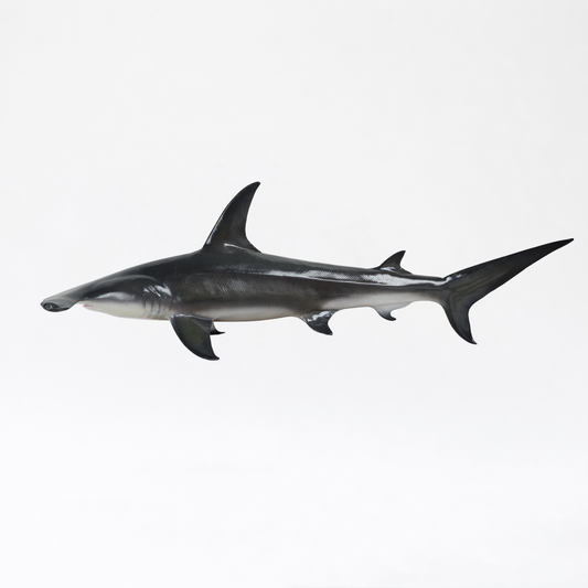 Artemis · Great Hammerhead