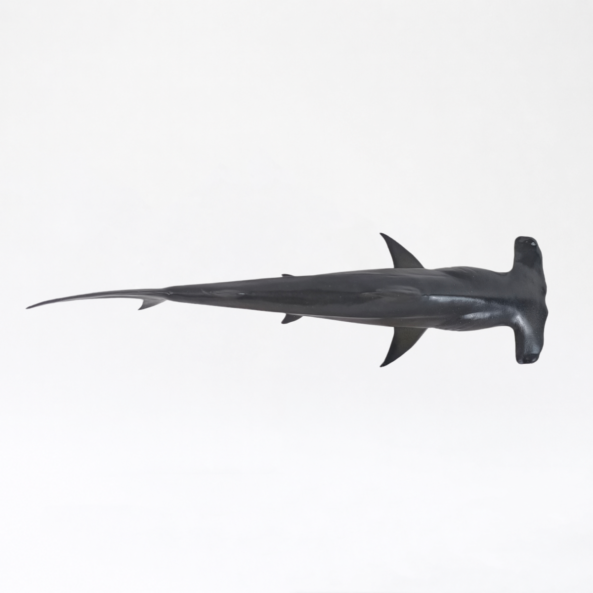 Artemis · Great Hammerhead