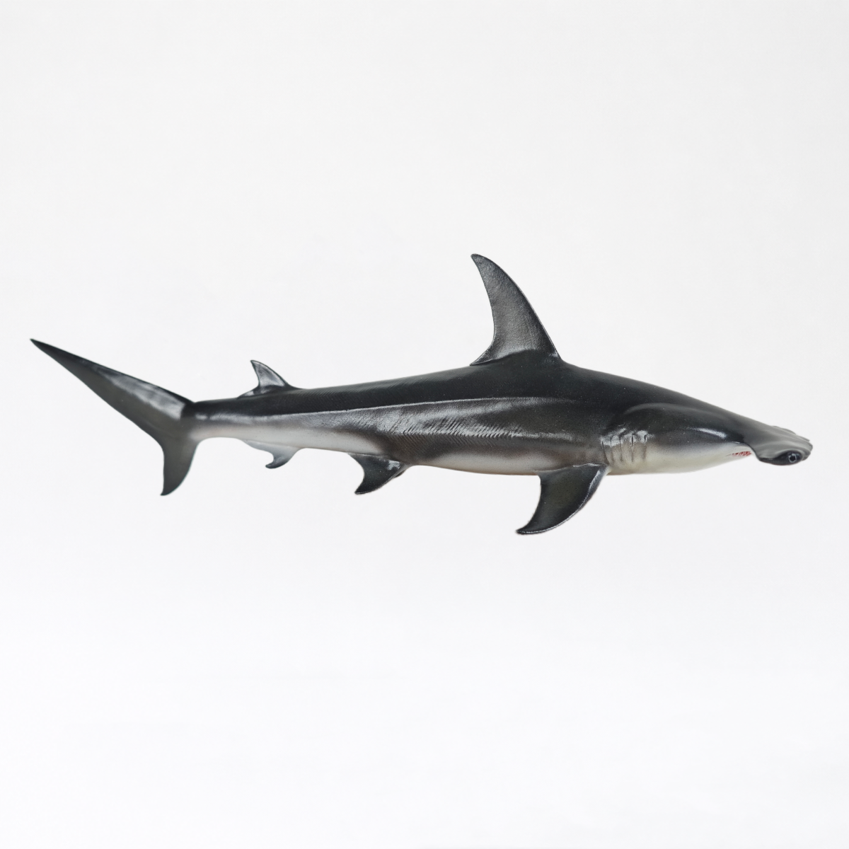 Artemis · Great Hammerhead