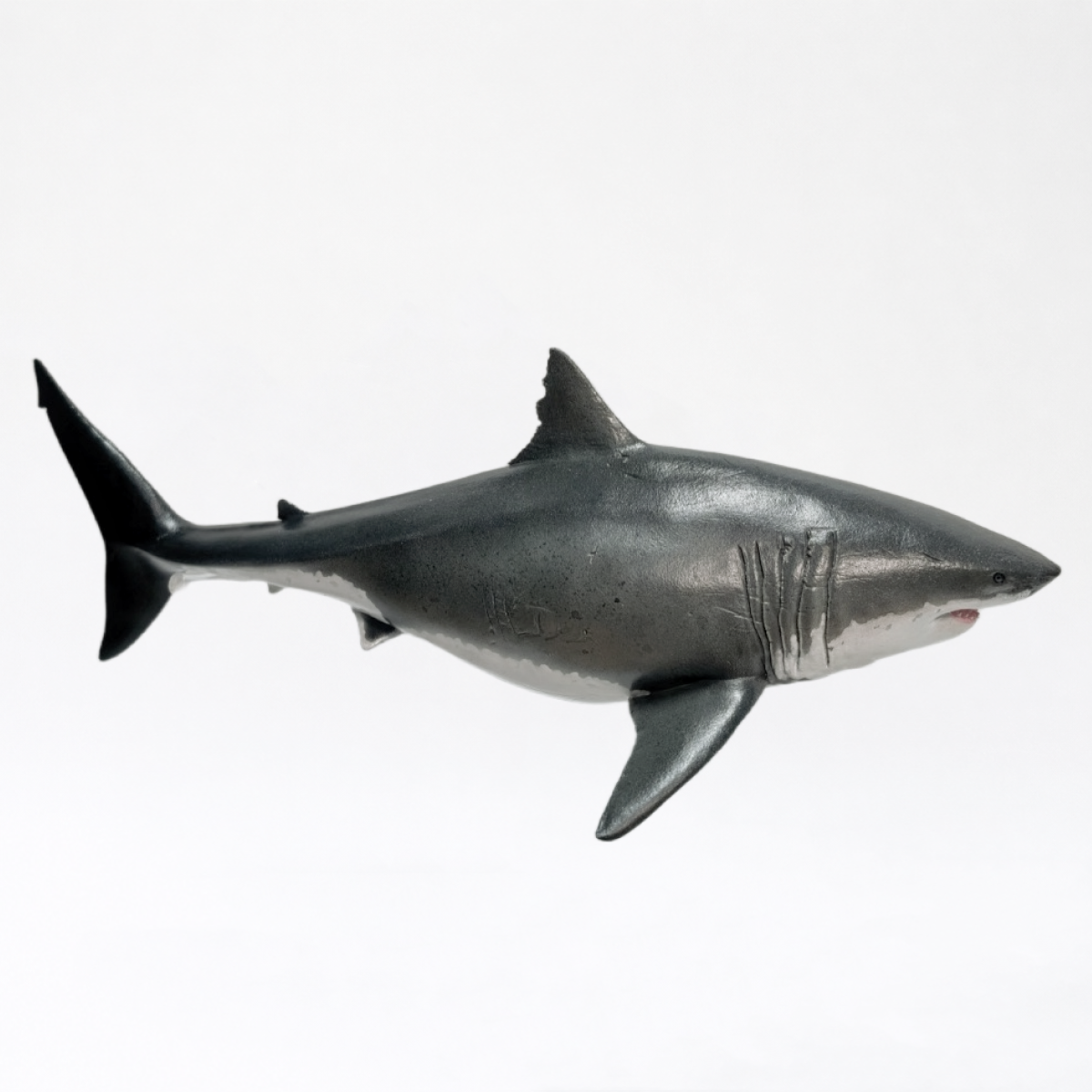 Deep Blue · Great White Shark