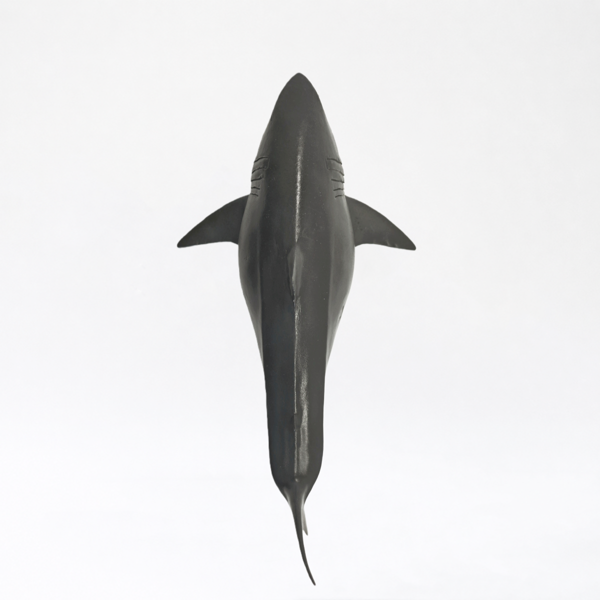 Deep Blue · Great White Shark