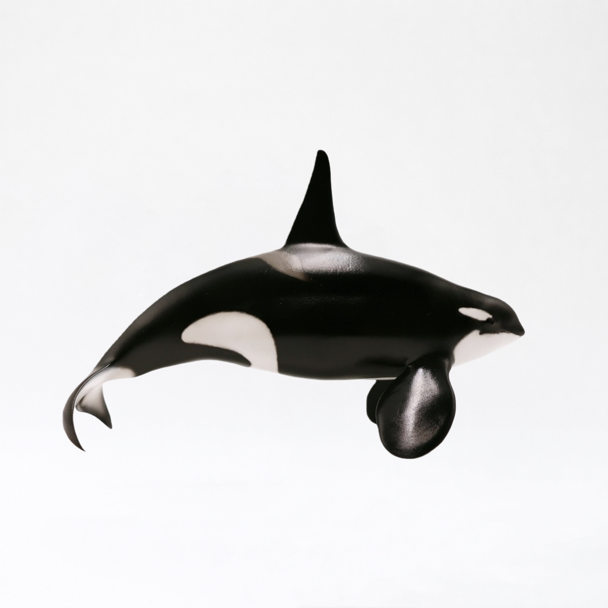Karel · Orca