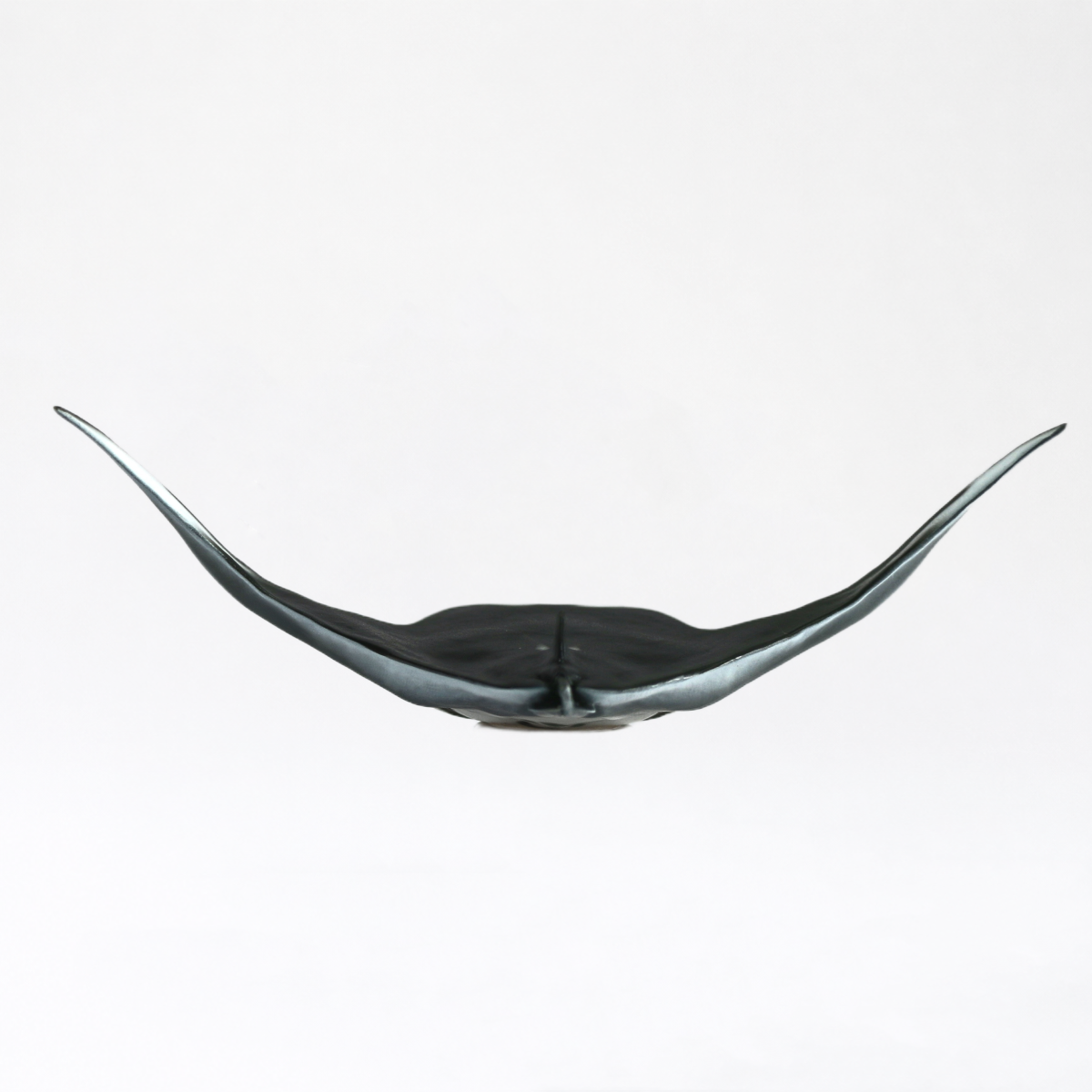 Nalu · Manta Ray
