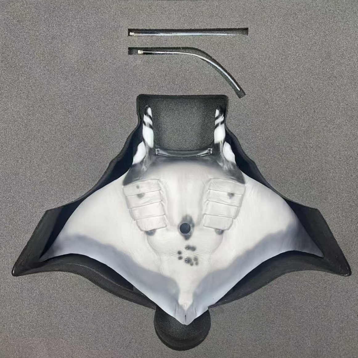 Nalu · Manta Ray
